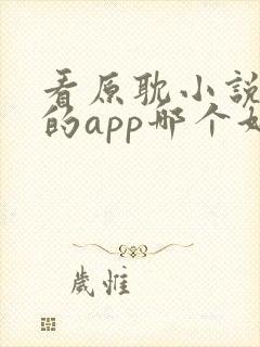 看原耽小说免费的app哪个好用