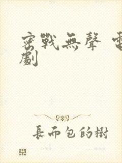 密战无声 电视剧封面