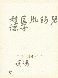 赵匡胤的儿子赵德芳封面