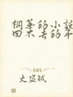 桐华的小说那些回不去的年少时光