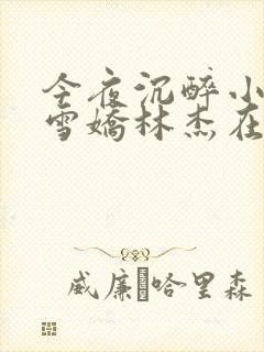 今夜沉醉小说段雪娇林杰在线阅读