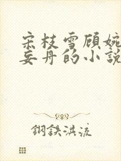 宋枝雪顾婉禾江妄舟的小说封面