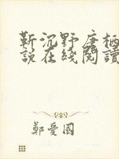 靳沉野唐栖雾小说在线阅读