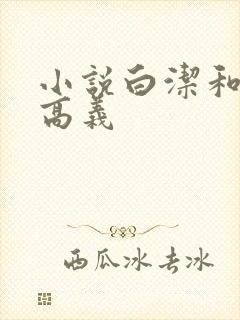 小说白洁和校长高义