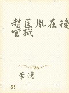 赵匡胤在后周的官职封面