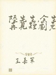 陆先生,余生不再见短剧免费