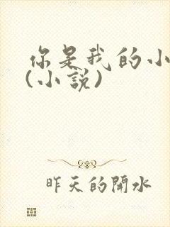 你是我的小确幸(小说)封面
