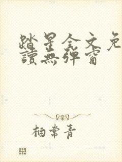 踏星全文免费阅读无弹窗封面