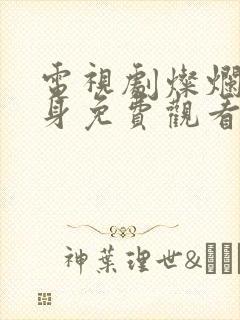 电视剧灿烂的转身免费观看高清