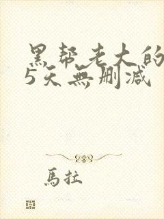 黑帮老大的365天无删减