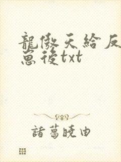 龙傲天给反派怀崽后txt