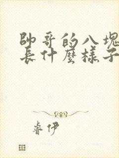 帅哥的八块腹肌长什么样子封面