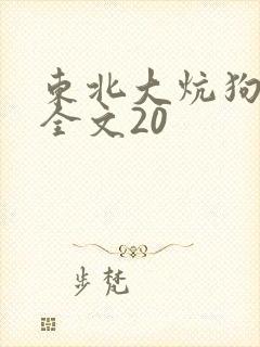 东北大炕狗儿娘全文20