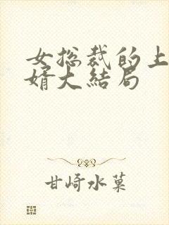 女总裁的上门女婿大结局封面