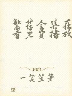 繁花全集在线观看免费播放高清封面