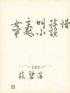 女主叫蒋惜纯的穿越小说