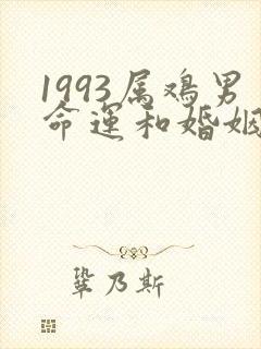 1993属鸡男命运和婚姻