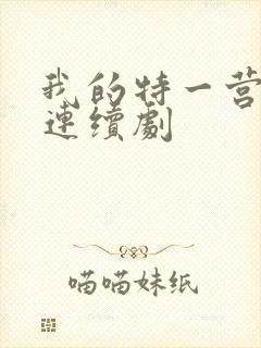 我的特一营电视连续剧封面