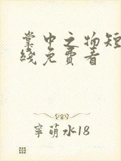 掌中之物短剧在线免费看