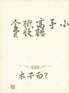 全职高手小说免费收听