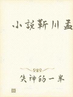 小说靳川孟娇蕊封面