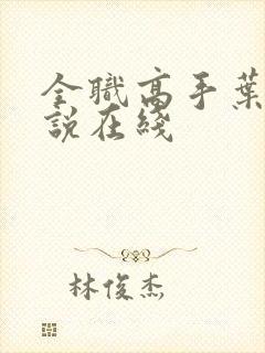 全职高手叶修小说在线