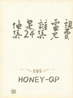 他是谁电视剧全集24集免费播放