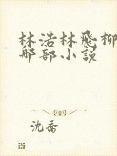 林浩林飞柳沁是哪部小说