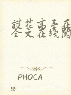 护花高手在都市全文在线阅读