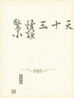 惊情三十天续集小说