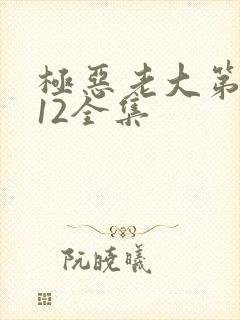 极恶老大第二季12全集