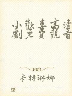 小欢喜高清电视剧免费观看全集封面