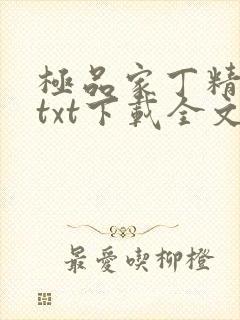 极品家丁精校版txt下载全文