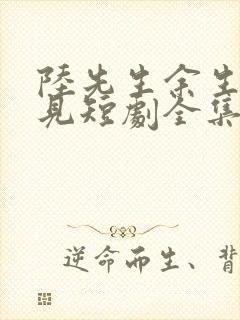 陆先生余生不再见短剧全集免费观看封面