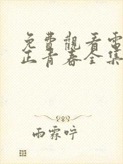 免费观看电视剧正青春全集在线播放