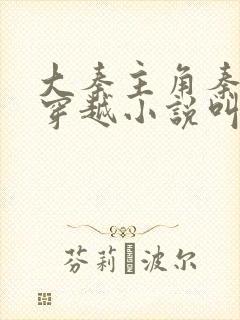 大秦主角秦风的穿越小说叫什么