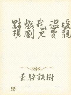 点燃我温暖你电视剧免费观看完整版高清