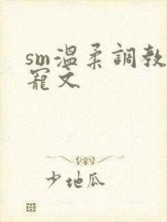 sm温柔调教甜宠文