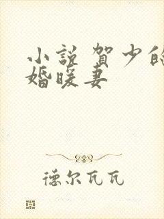 小说 贺少的闪婚暖妻封面