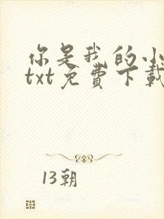你是我的小确幸txt免费下载