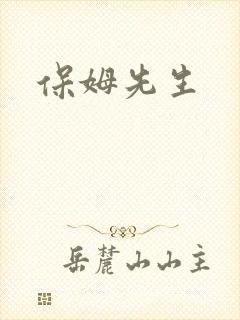 保姆先生封面
