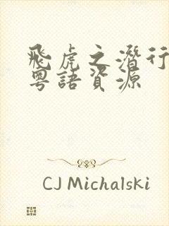 飞虎之潜行极战粤语资源