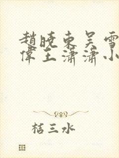 赵晓东吴雪晴郑伟王潇潇小说