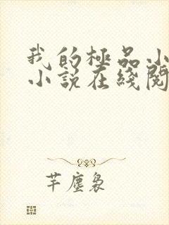 我的极品小姨 小说在线阅读封面