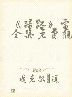 《归路》电视剧全集免费观看高清