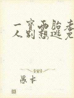 一宝两胎老婆大人别想逃免费阅读封面