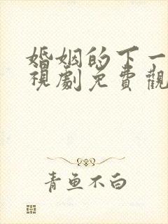 婚姻的下一站电视剧免费观看封面