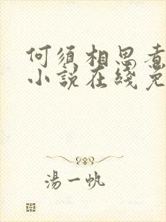 何须相思煮余年小说在线免费阅读