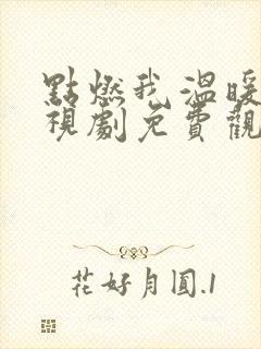 点燃我温暖你电视剧免费观看全集