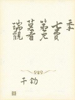 瑞莫第七季在线观看免费